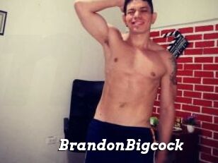 BrandonBigcock