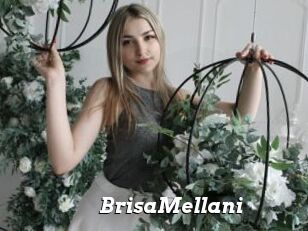 BrisaMellani