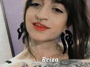 Briza