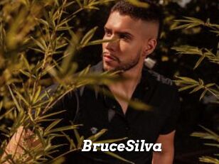 BruceSilva