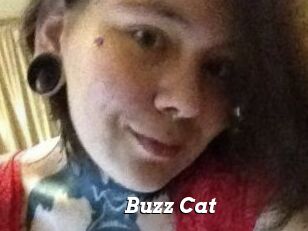 Buzz_Cat