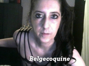 Belgecoquine