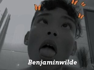 Benjaminwilde