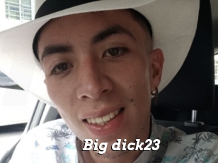 Big_dick23