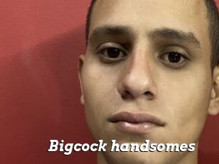 Bigcock_handsomes