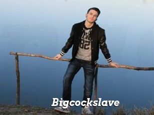 Bigcockslave