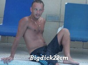 Bigdick22cm