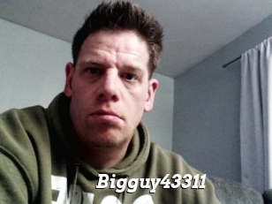 Bigguy43311