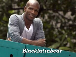 Blacklatinbear