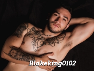 Blakeking0102