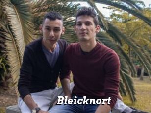 Bleicknort