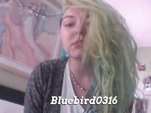 Bluebird0316