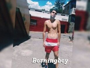 Borningboy