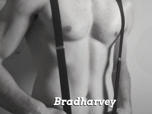 Bradharvey