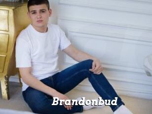 Brandonbud