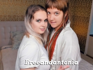 Breeandantonia