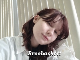 Breebaskett