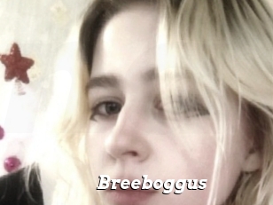 Breeboggus