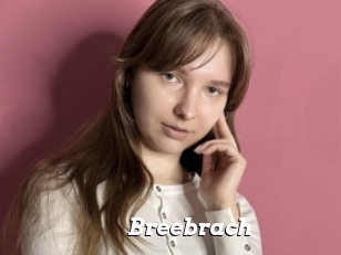 Breebrach