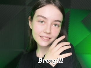 Breegill