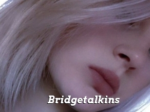 Bridgetalkins