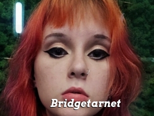 Bridgetarnet