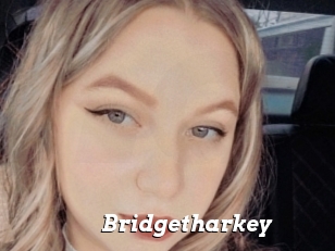 Bridgetharkey