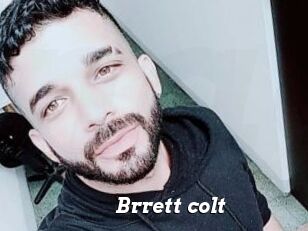 Brrett_colt