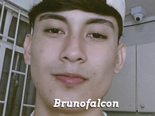 Brunofalcon