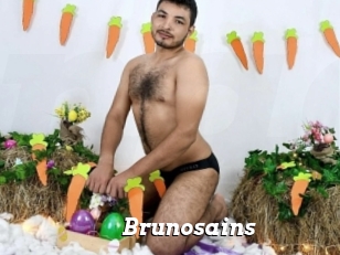 Brunosains