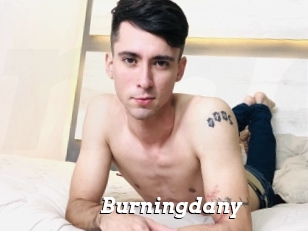 Burningdany