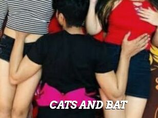 CATS_AND_BAT