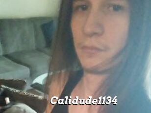 Calidude1134
