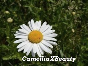 Camellia_XBeauty