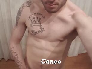 Caneo