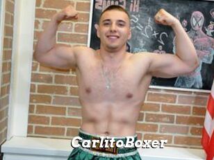 CarlitoBoxer