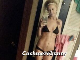 Cashmerebunny