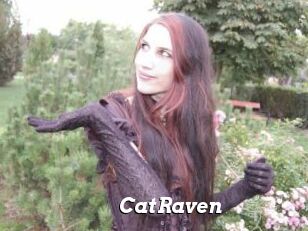 CatRaven