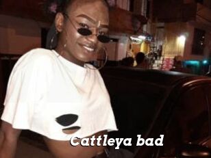 Cattleya_bad