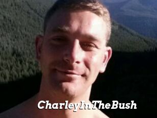 CharleyInTheBush