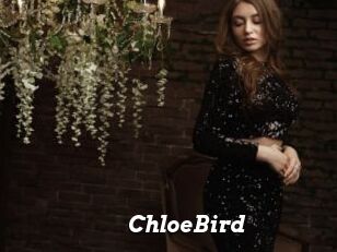 ChloeBird