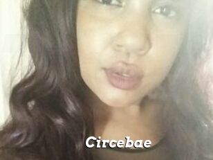 Circebae