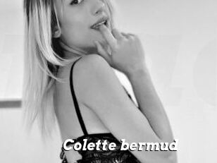 Colette_bermud