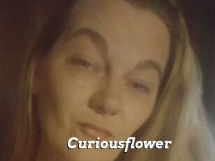 Curiousflower