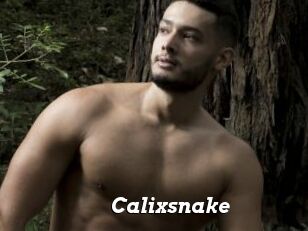 Calixsnake