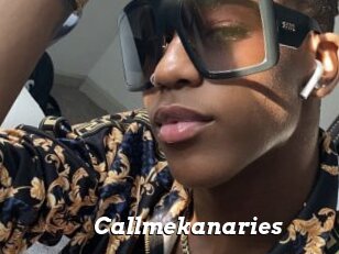 Callmekanaries