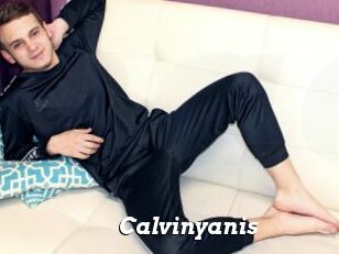 Calvinyanis