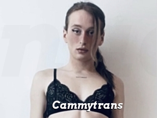 Cammytrans