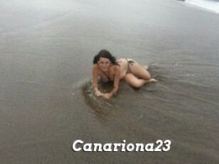 Canariona23