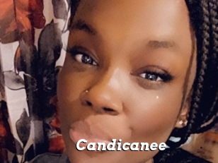 Candicanee